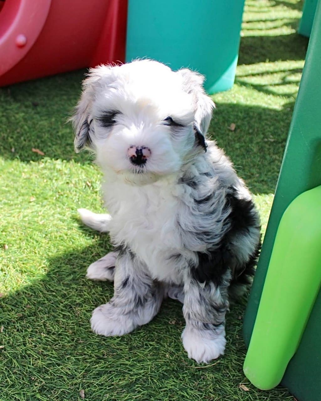 Max photo 4